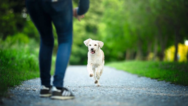 martin rütter und conny sporrer getrennt